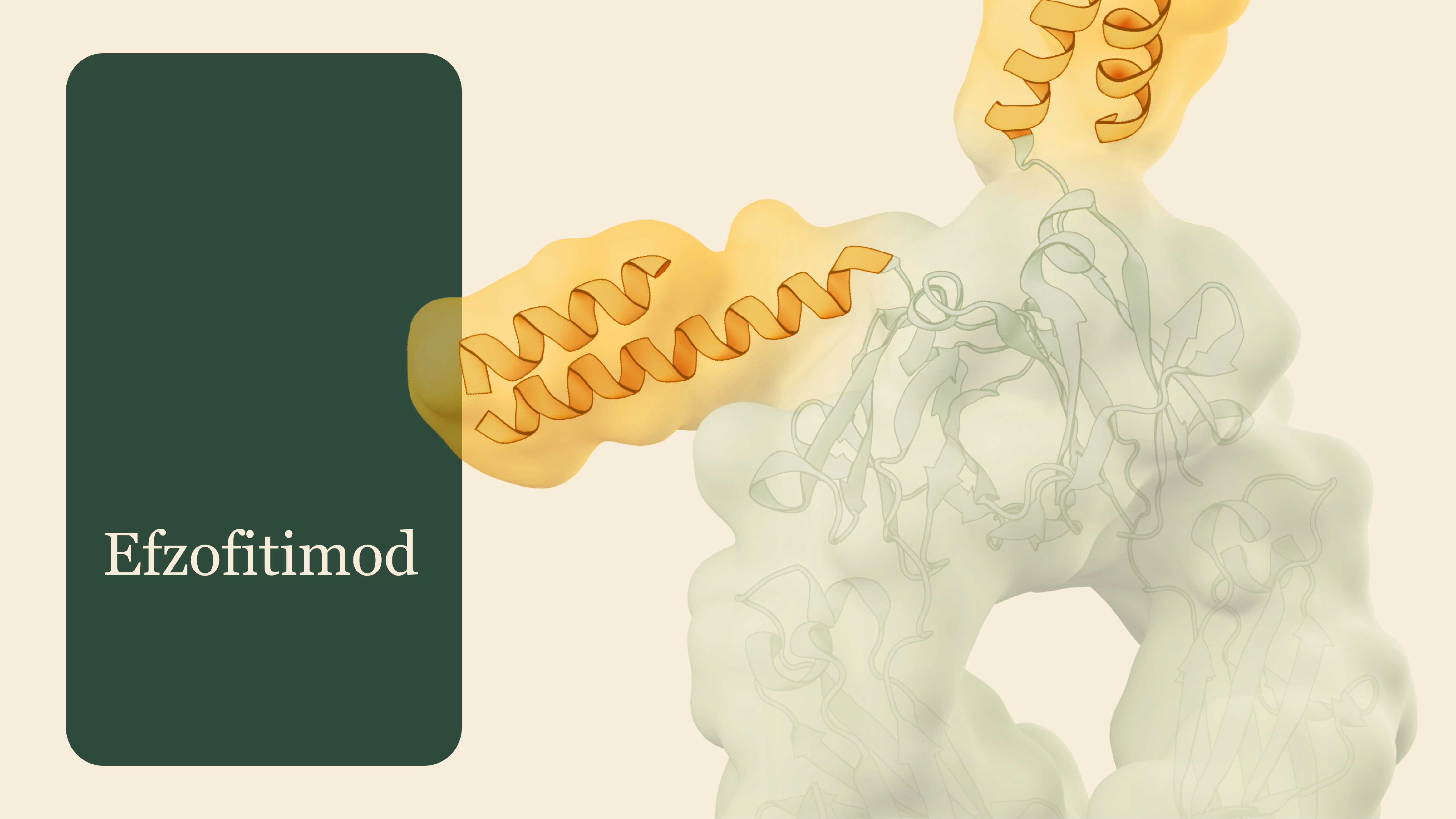 Efzofitimod — structural rendering of the engineered Fc-fusion protein