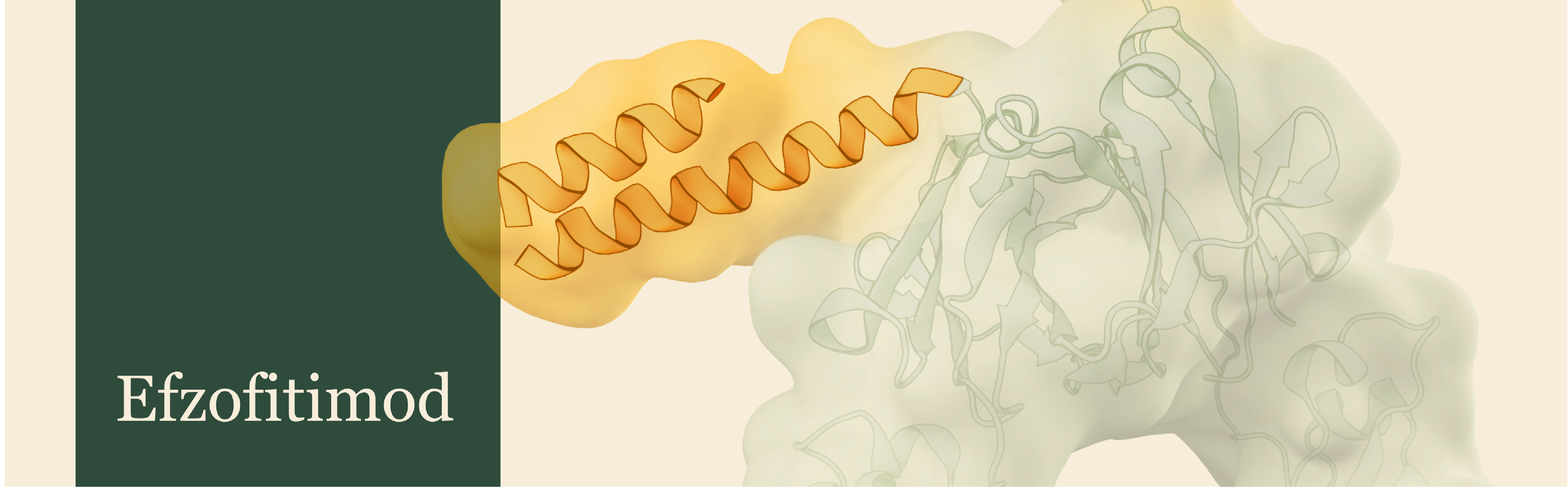 Efzofitimod — structural rendering of the engineered Fc-fusion protein