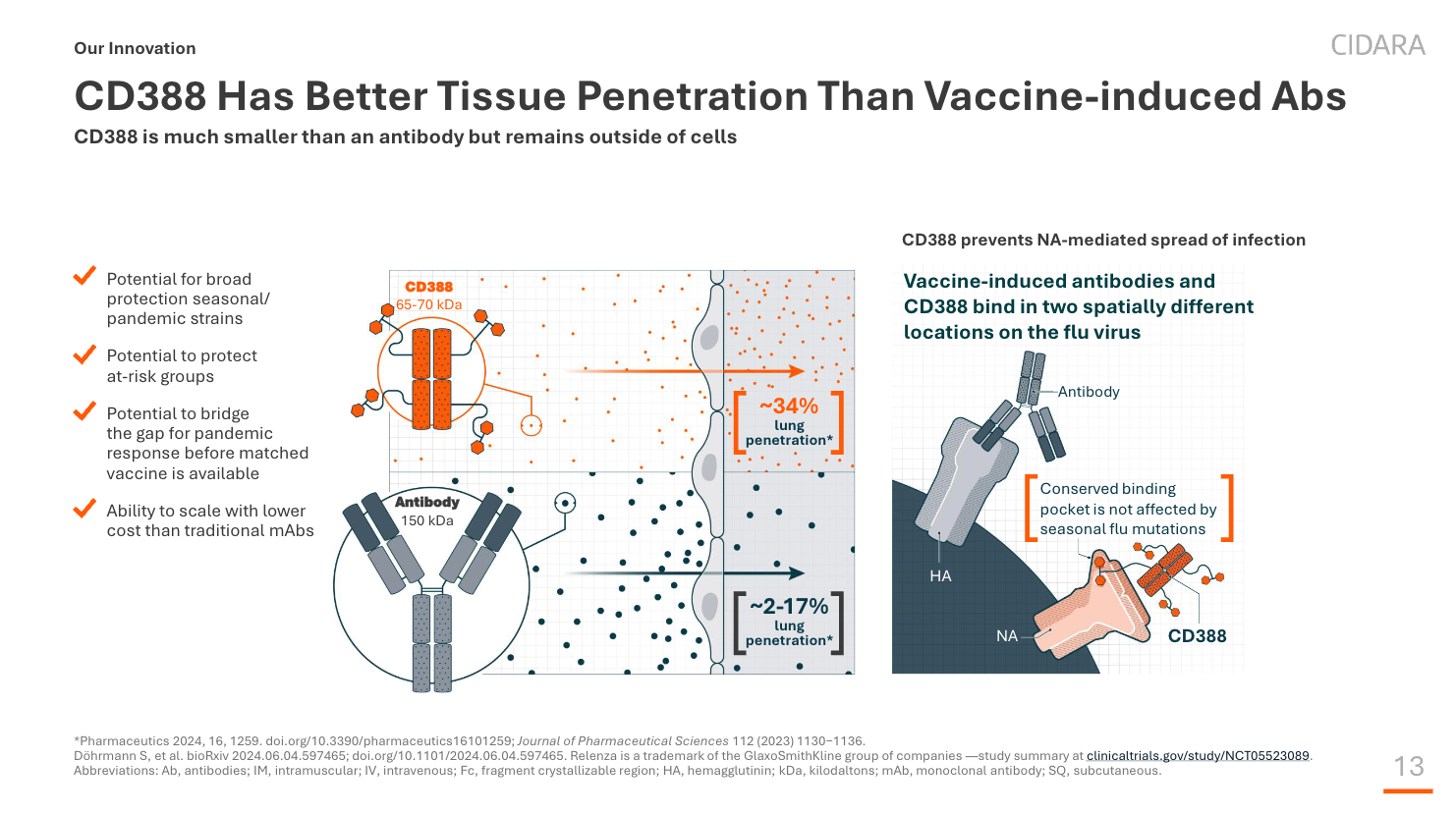 CD388 (65–70 kDa) is much smaller than an antibody (150 kDa), achieving roughly 34% lung penetration versus 2–17% for antibodies, and binds a conserved pocket unaffected by seasonal mutations.