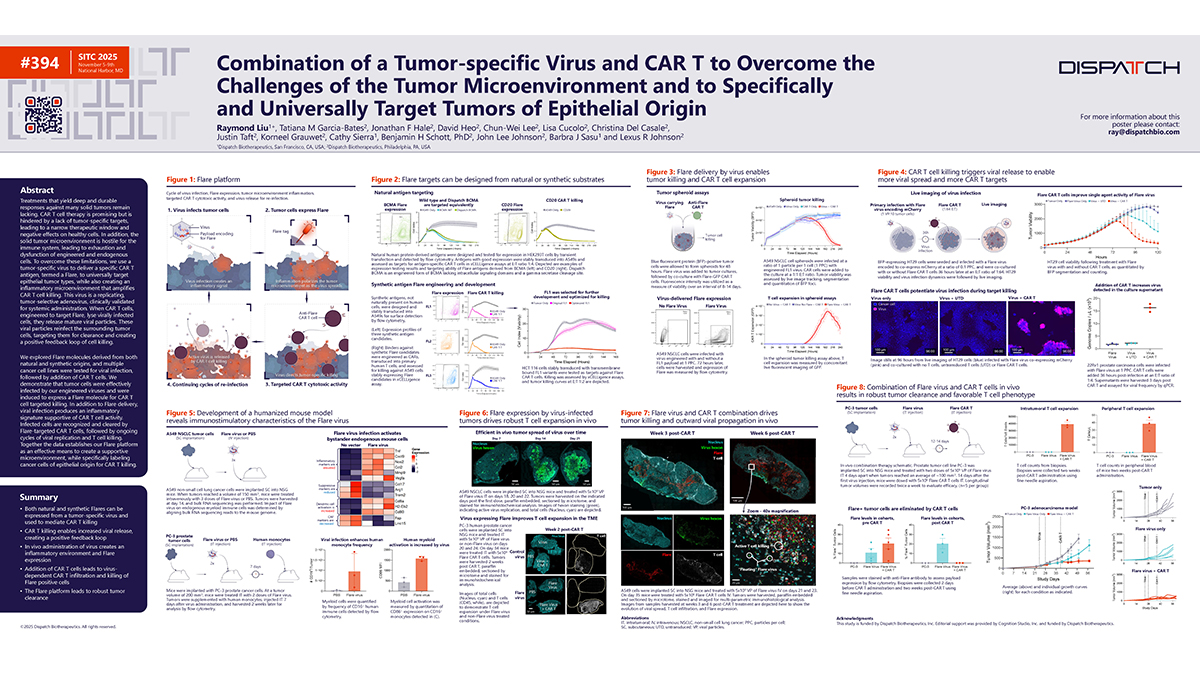 Dispatch Biotherapeutics SITC 2025 scientific poster (#394): combination of a tumor-specific virus and CAR T to overcome the challenges of the tumor microenvironment and to specifically and universally target tumors of epithelial origin.