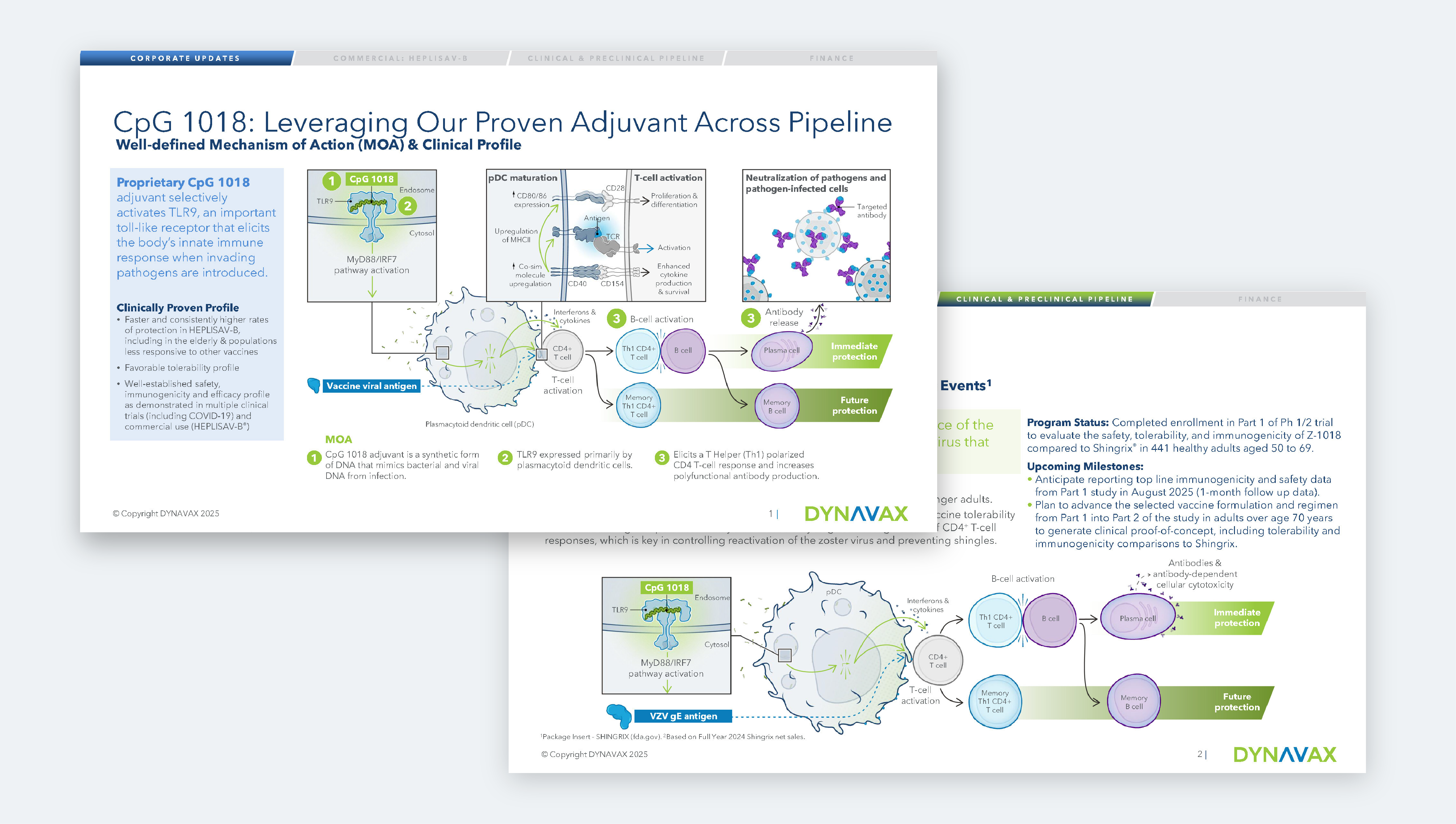 Dynavax CpG 1018 investor pipeline narrative — proprietary TLR9 adjuvant mechanism of action and clinical profile across the vaccine pipeline
