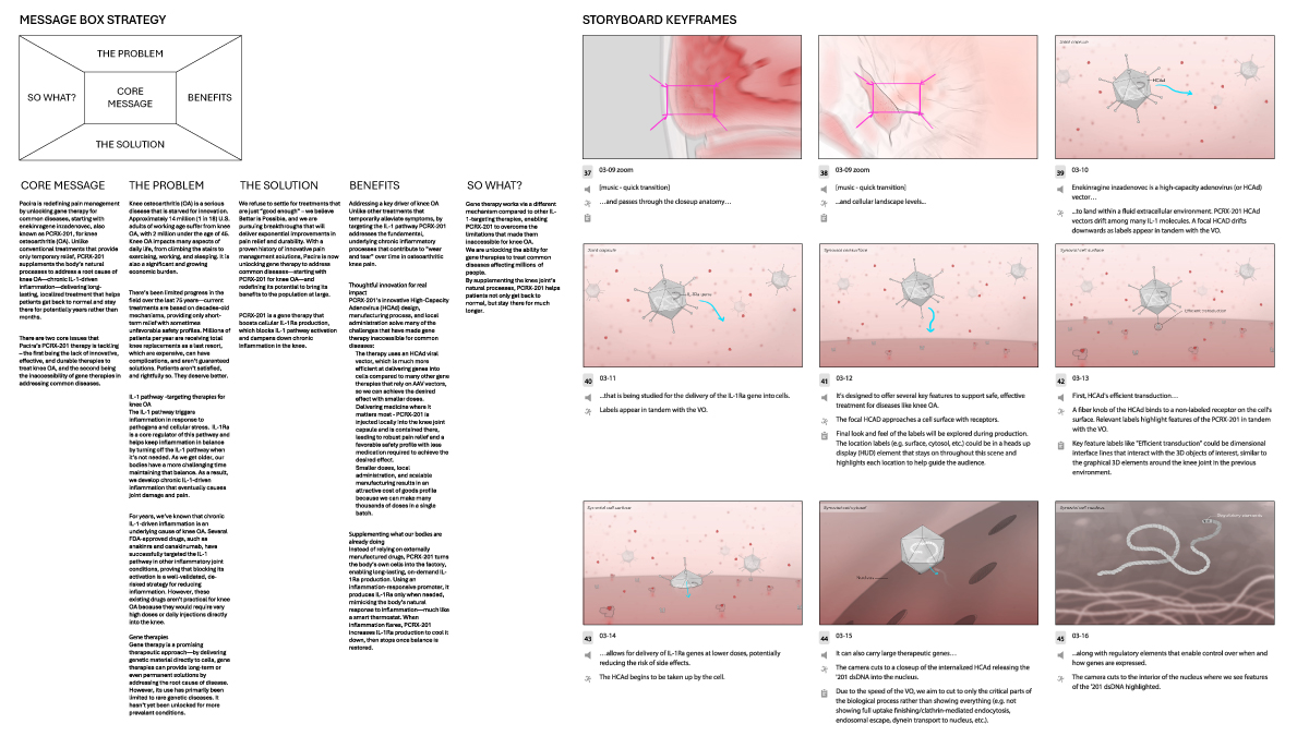 A message-box strategy — core message, the problem, the solution, benefits and 'so what?' — with storyboard keyframes for the PCRX-201 3D mechanism-of-action animation.