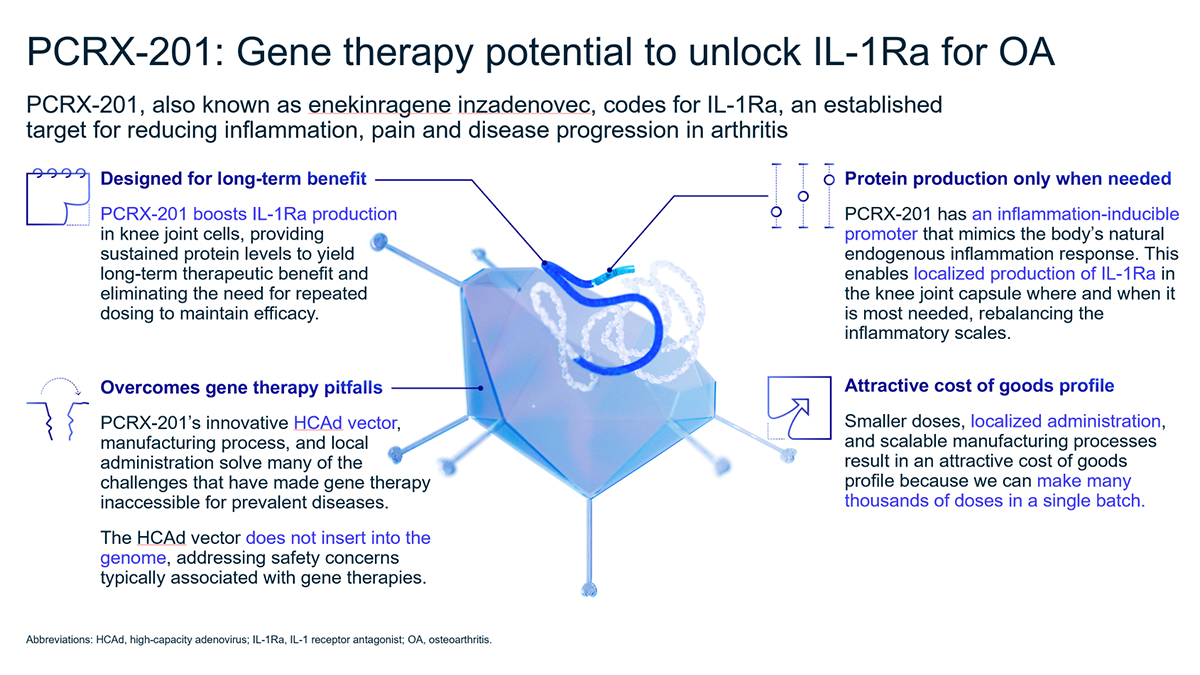 PCRX-201 (enekinragene inzadenovec) codes for IL-1Ra to reduce inflammation, pain and disease progression in arthritis: designed for long-term benefit, protein production only when needed via an inflammation-inducible promoter, overcomes gene-therapy pitfalls with a non-integrating HCAd vector, and an attractive cost-of-goods profile.